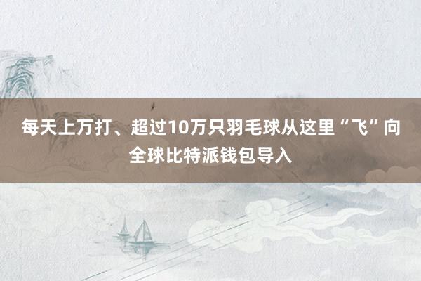 每天上万打、超过10万只羽毛球从这里“飞”向全球比特派钱包导入