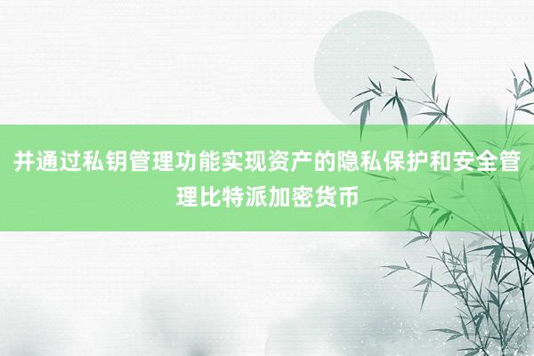 并通过私钥管理功能实现资产的隐私保护和安全管理比特派加密货币