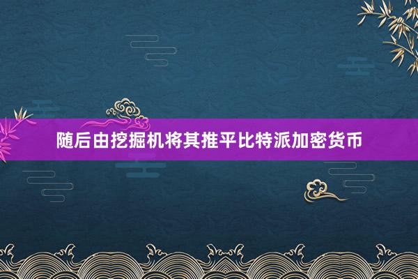 随后由挖掘机将其推平比特派加密货币