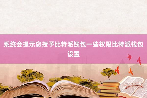 系统会提示您授予比特派钱包一些权限比特派钱包设置