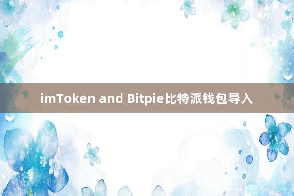 imToken and Bitpie比特派钱包导入