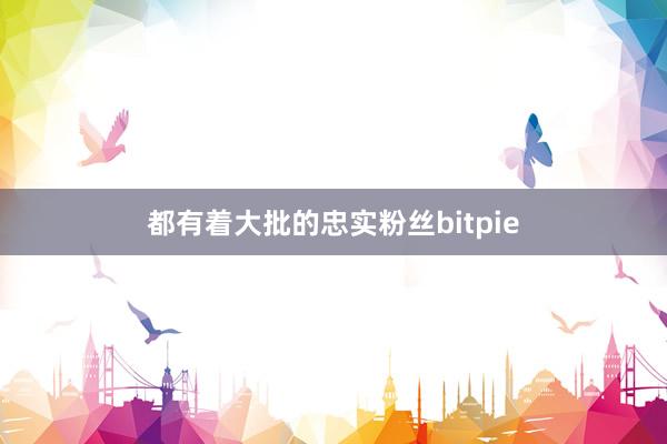 都有着大批的忠实粉丝bitpie