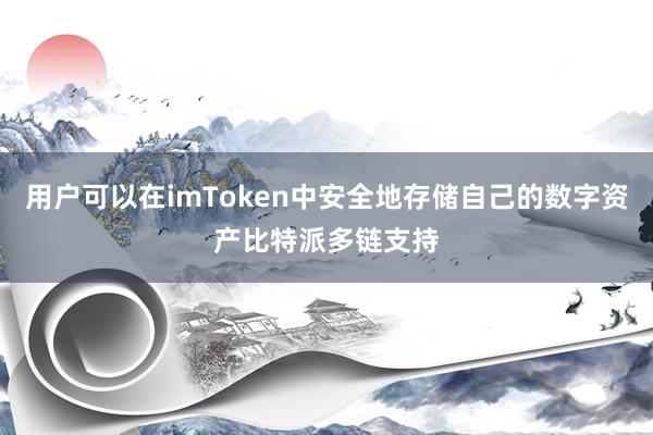 用户可以在imToken中安全地存储自己的数字资产比特派多链支持