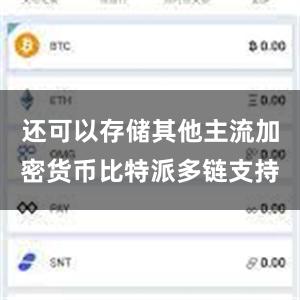 还可以存储其他主流加密货币比特派多链支持