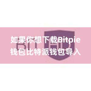 如果你想下载Bitpie钱包比特派钱包导入