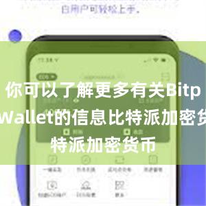 你可以了解更多有关Bitpie Wallet的信息比特派加密货币