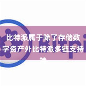 比特派属于除了存储数字资产外比特派多链支持